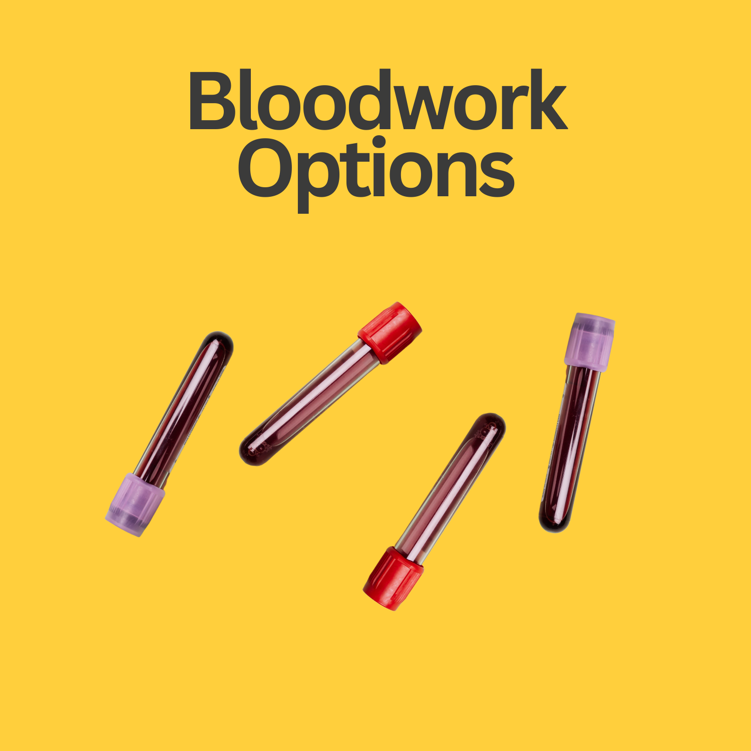 All Bloodwork