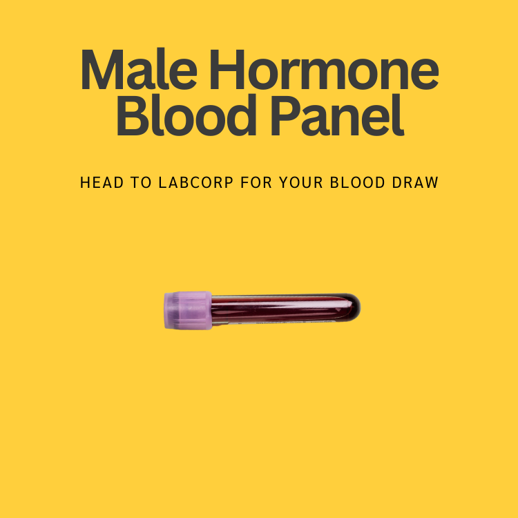 Male Hormone Blood Panel