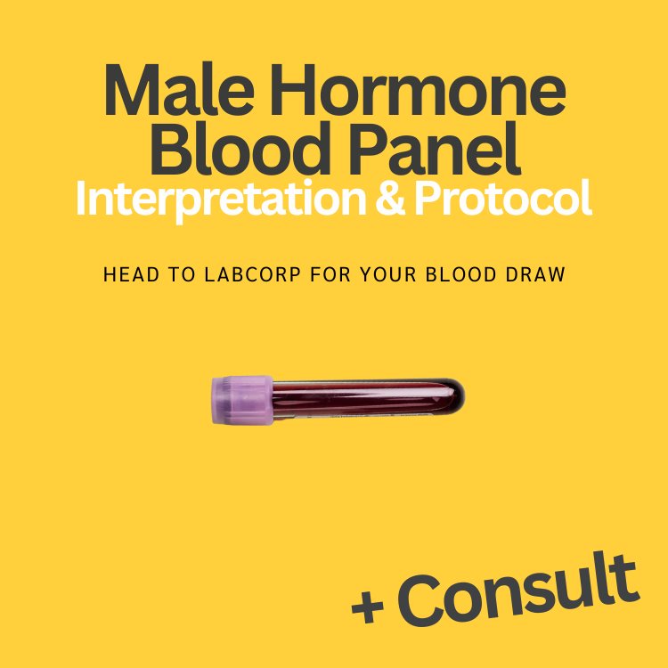 Male Hormone Blood Panel