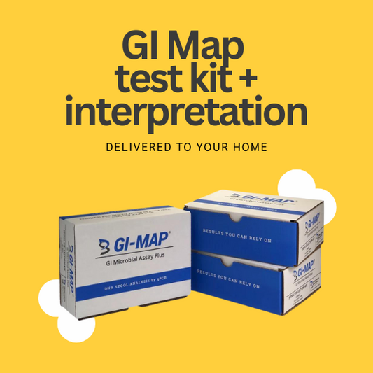 GI Map Test Kit + Personalized Protocol